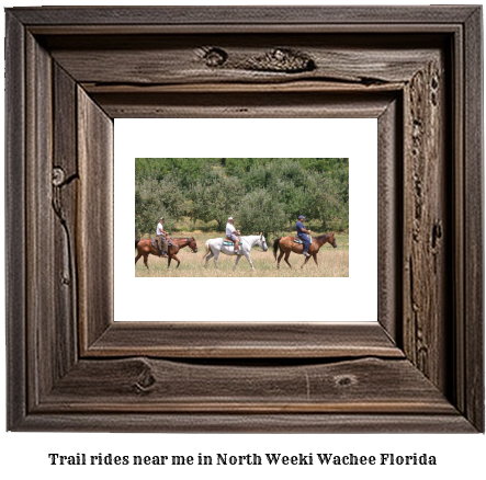 trail rides near me in North Weeki Wachee, Florida